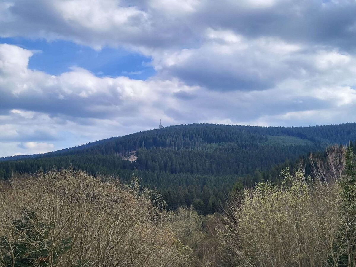 Ausblick