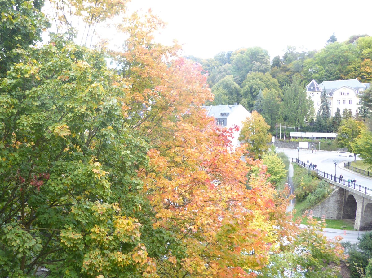 Ausblick