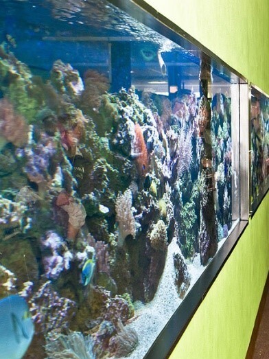 Aquarium